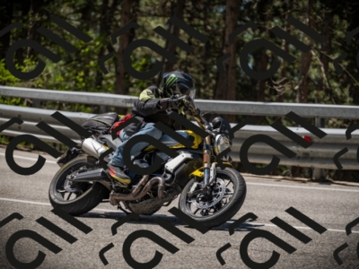 20250531114231-DSC_3936_am_