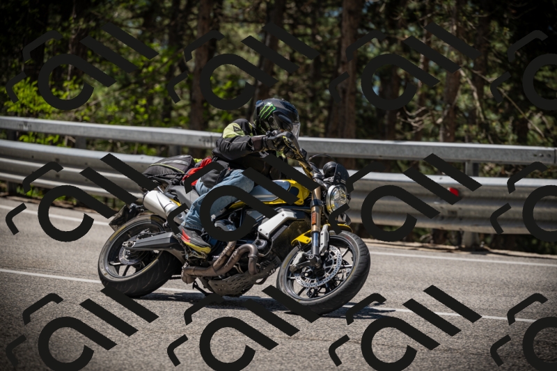 20250531114231-DSC_3936_am_