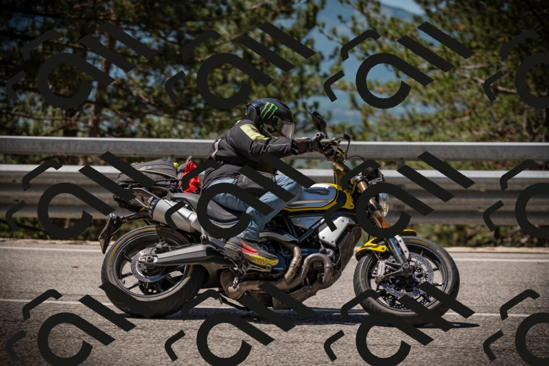 20250531114231-DSC_3937_am_