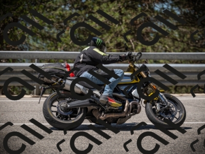 20250531114231-DSC_3938_am_