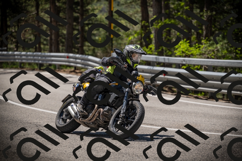 20250531114302-DSC_3944_am_