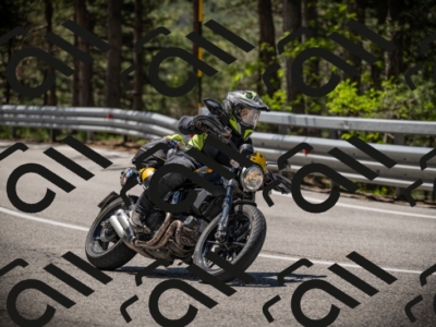 20250531114302-DSC_3944_am_