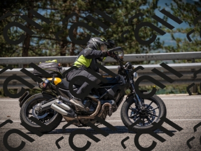 20250531114302-DSC_3945_am_