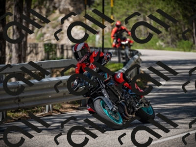 20250531114305-DSC_3948_am_