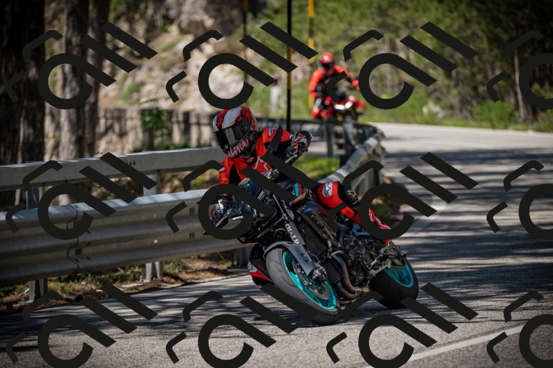 20250531114305-DSC_3948_am_