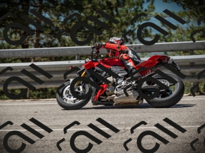 20250531114309-DSC_3952_am_