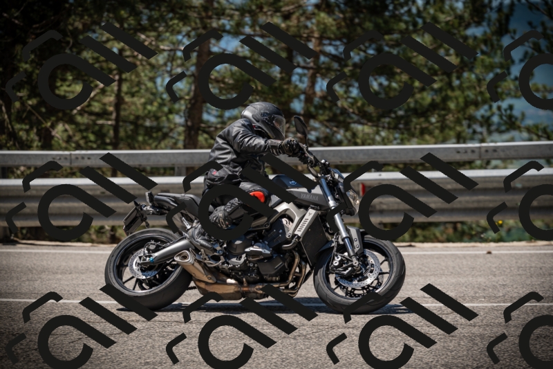 20250531114316-DSC_3954_am_