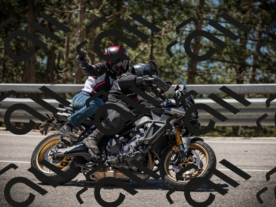 20250531114347-DSC_3958_am_