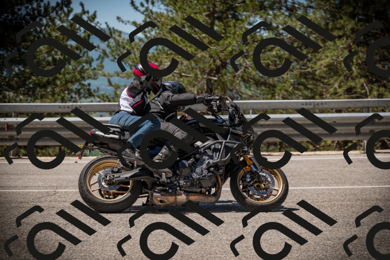 20250531114348-DSC_3959_am_