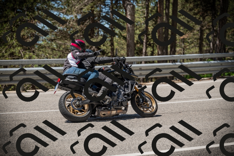 20250531114348-DSC_3960_am_