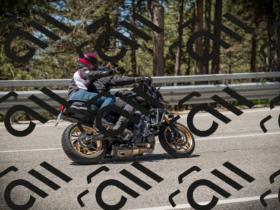 20250531114348-DSC_3960_am_