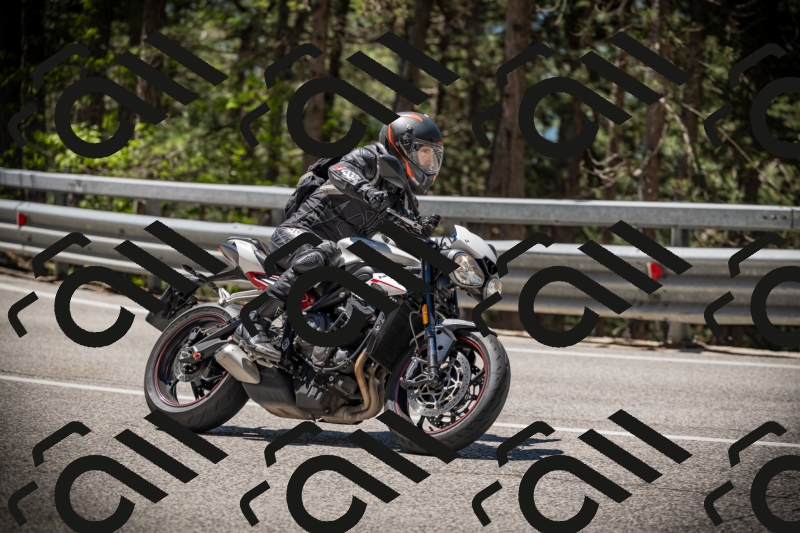 20250531114408-DSC_3964_am_