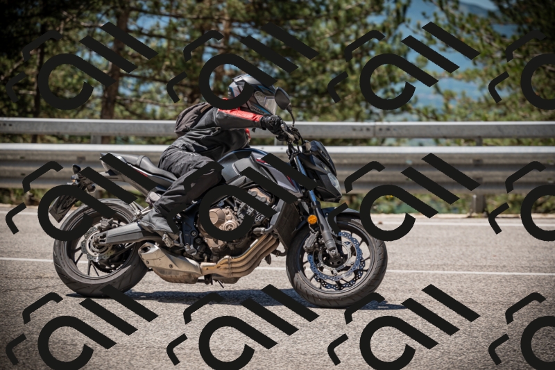 20250531114409-DSC_3966_am_