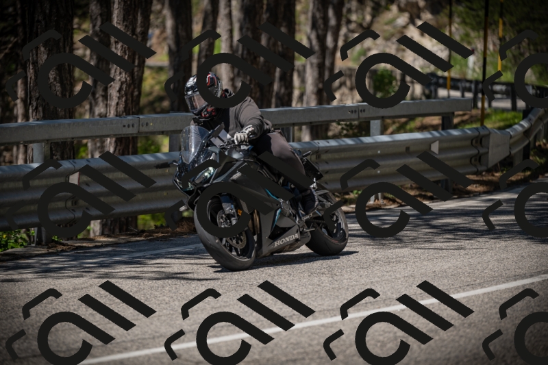 20250531114445-DSC_3985_am_