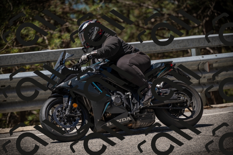 20250531114446-DSC_3986_am_