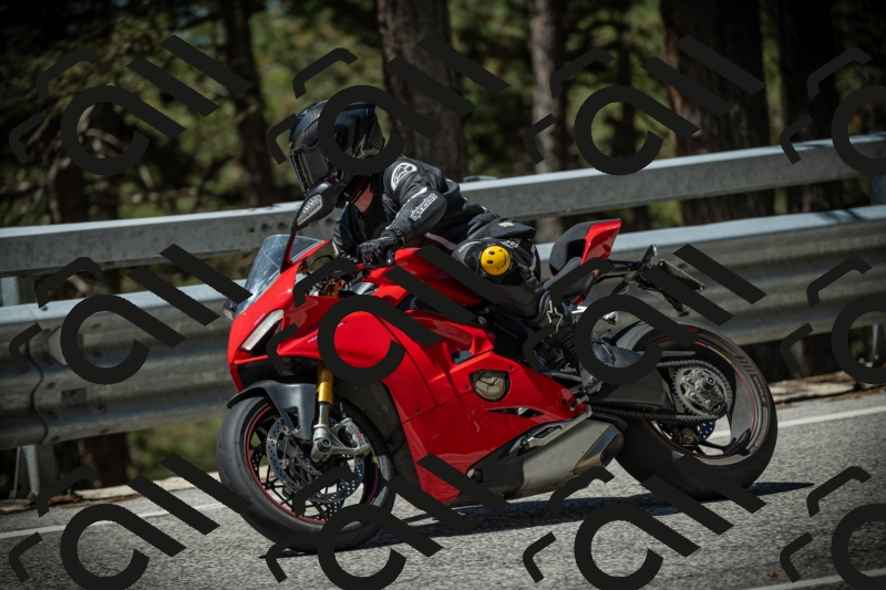 20250531114502-DSC_3988_am_