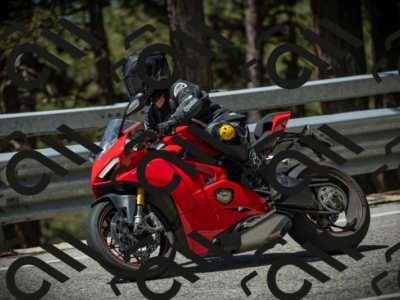 20250531114502-DSC_3988_am_