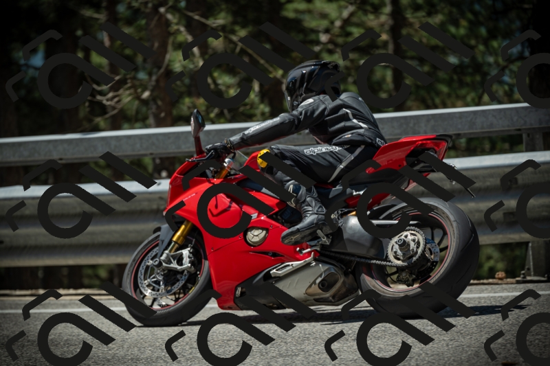 20250531114503-DSC_3990_am_