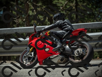 20250531114503-DSC_3990_am_