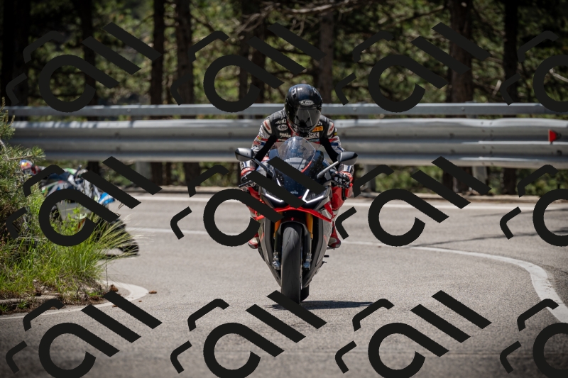 20250531114551-DSC_4000_am_