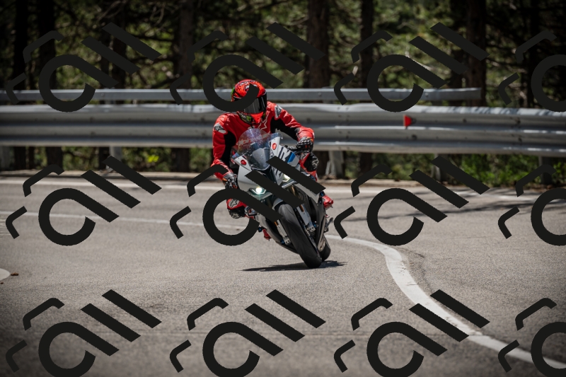 20250531114608-DSC_4008_am_