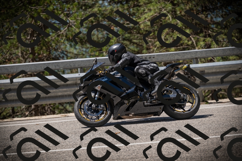 20250531114616-DSC_4015_am_