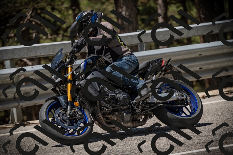 20250531114756-DSC_4024_am_