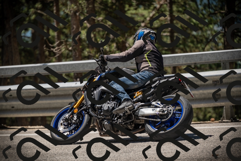 20250531114757-DSC_4027_am_