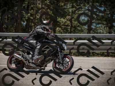 20250531114949-DSC_4042_am_