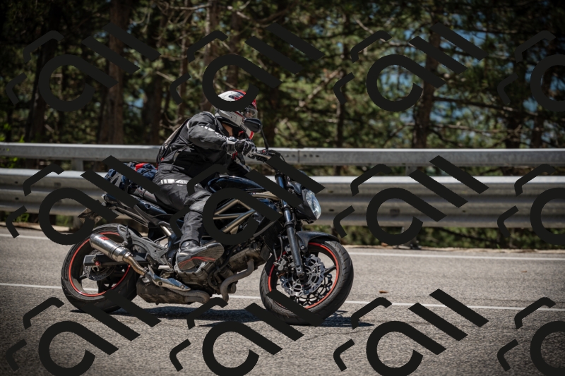 20250531114949-DSC_4042_am_