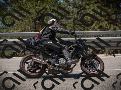 20250531114950-DSC_4043_am_