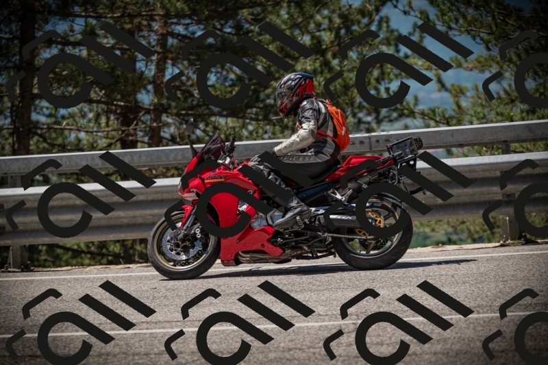 20250531114952-DSC_4045_am_