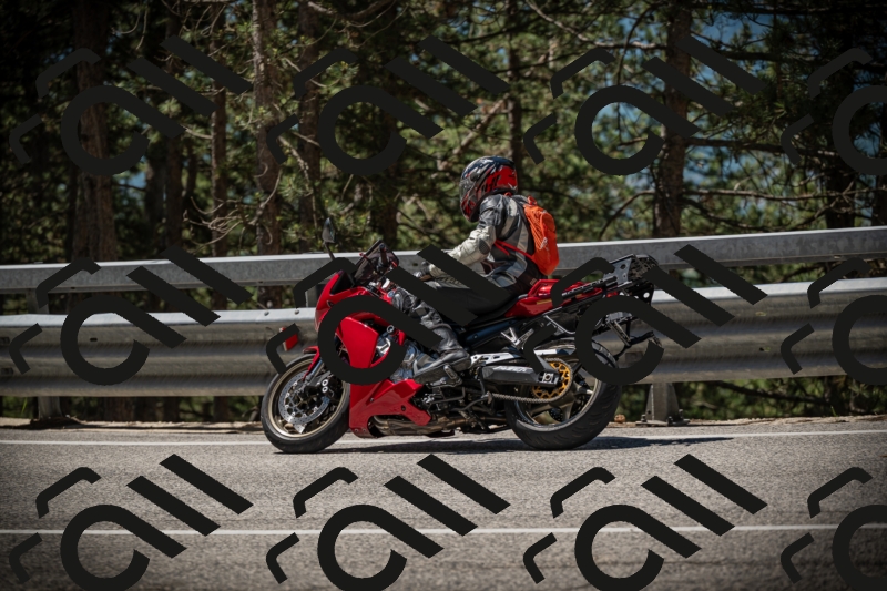 20250531114952-DSC_4046_am_