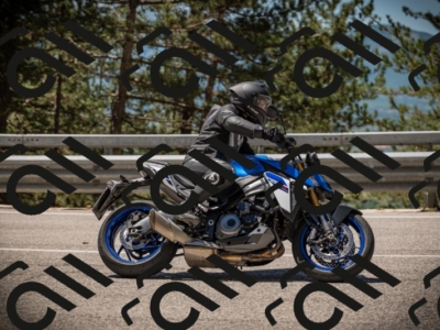 20250531114956-DSC_4052_am_