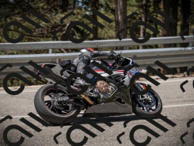 20250531115010-DSC_4061_am_