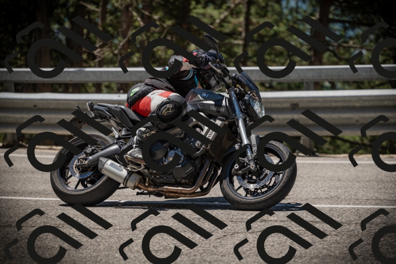 20250531115025-DSC_4062_am_