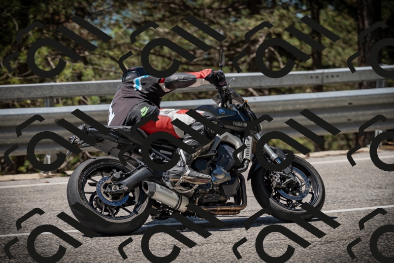 20250531115025-DSC_4064_am_