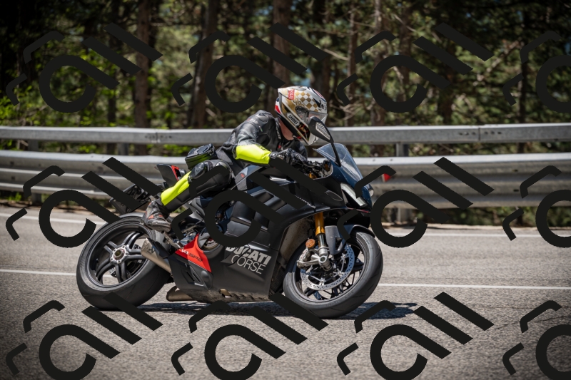 20250531115039-DSC_4069_am_