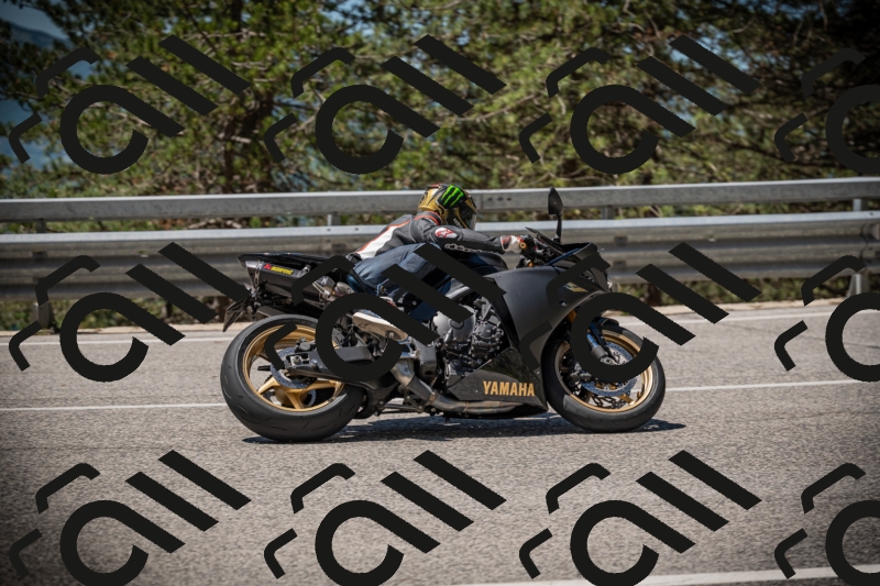 20250531115054-DSC_4077_am_