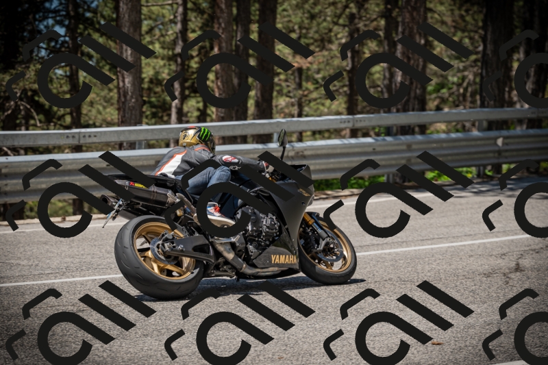 20250531115054-DSC_4078_am_