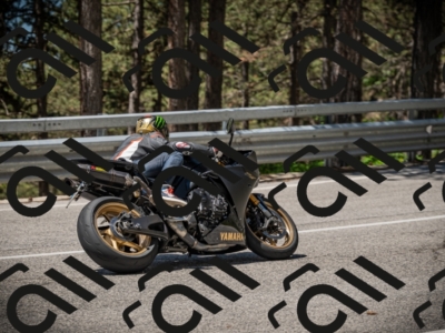 20250531115054-DSC_4078_am_