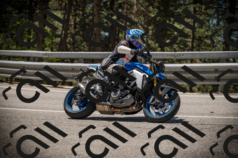 20250531115057-DSC_4081_am_