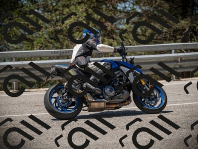 20250531115058-DSC_4083_am_