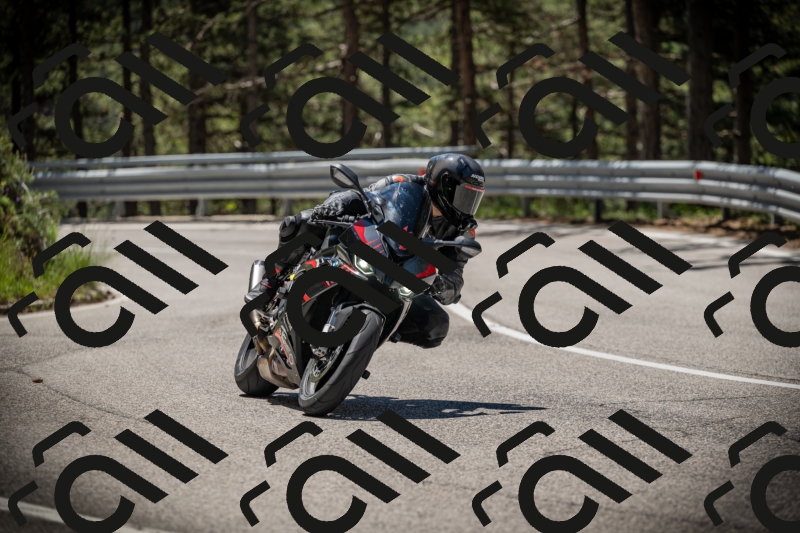 20250531115106-DSC_4084_am_