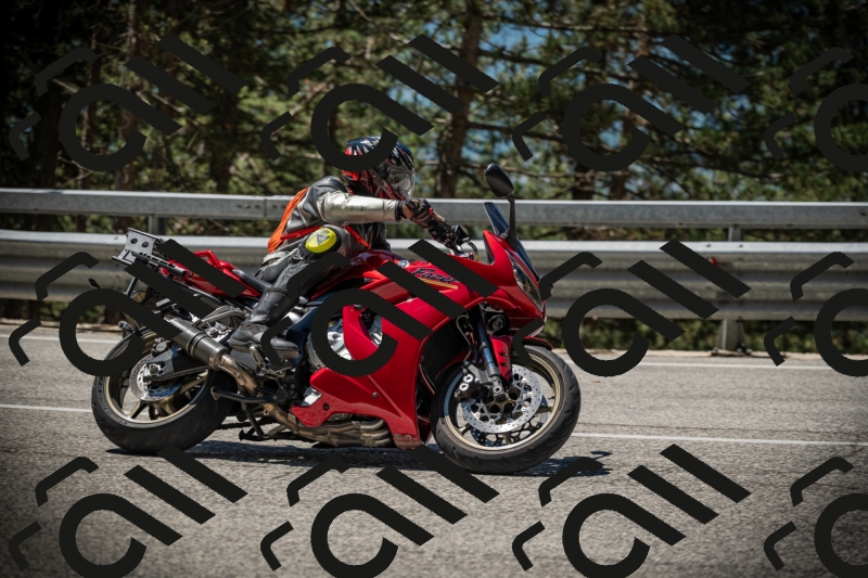 20250531115117-DSC_4088_am_