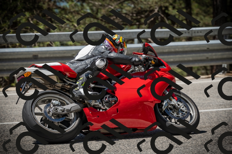 20250531115120-DSC_4092_am_