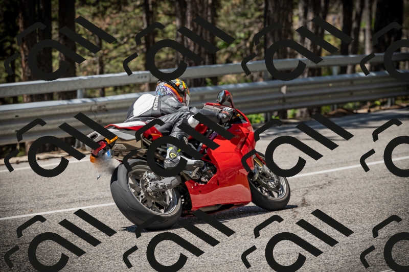 20250531115120-DSC_4093_am_