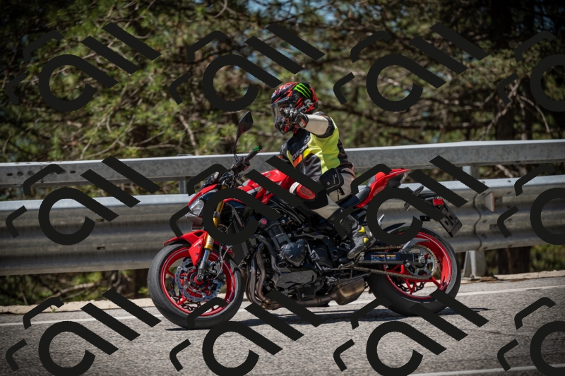 20250531115123-DSC_4094_am_