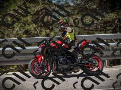 20250531115123-DSC_4094_am_