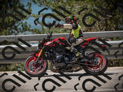 20250531115123-DSC_4095_am_